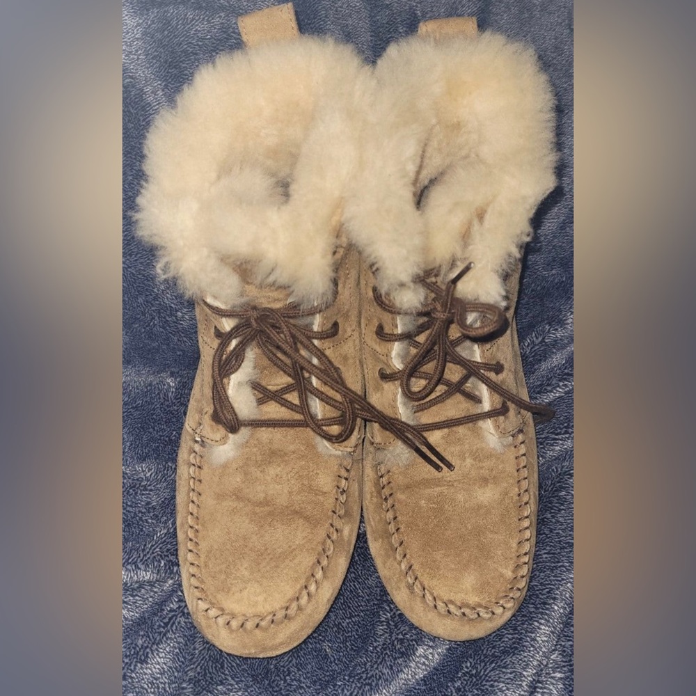 Uggs chickaree boots